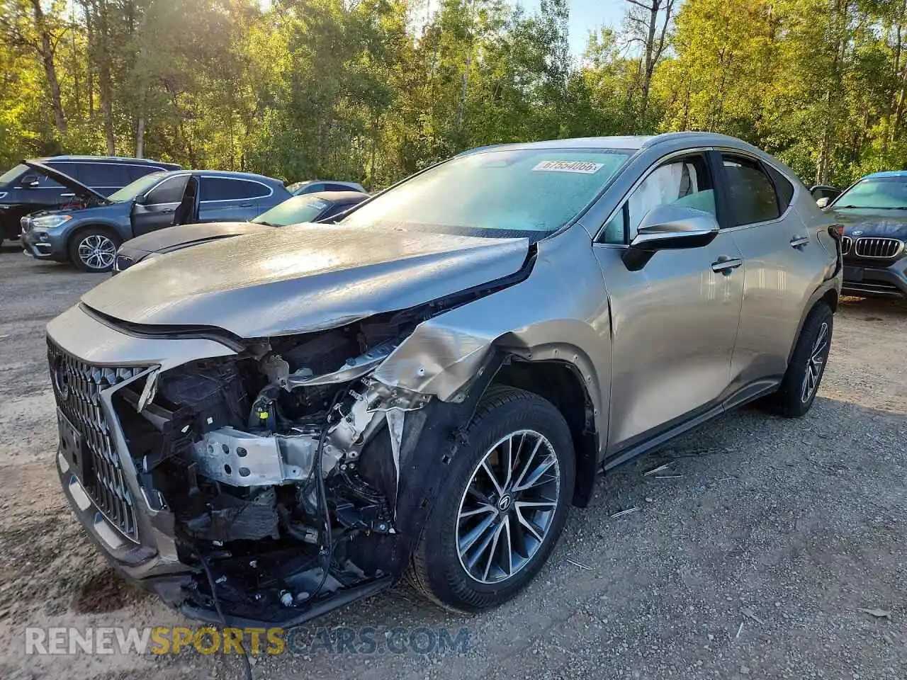 1 Фотография поврежденного автомобиля 2T2GKCEZXRC023379 LEXUS NX 2024