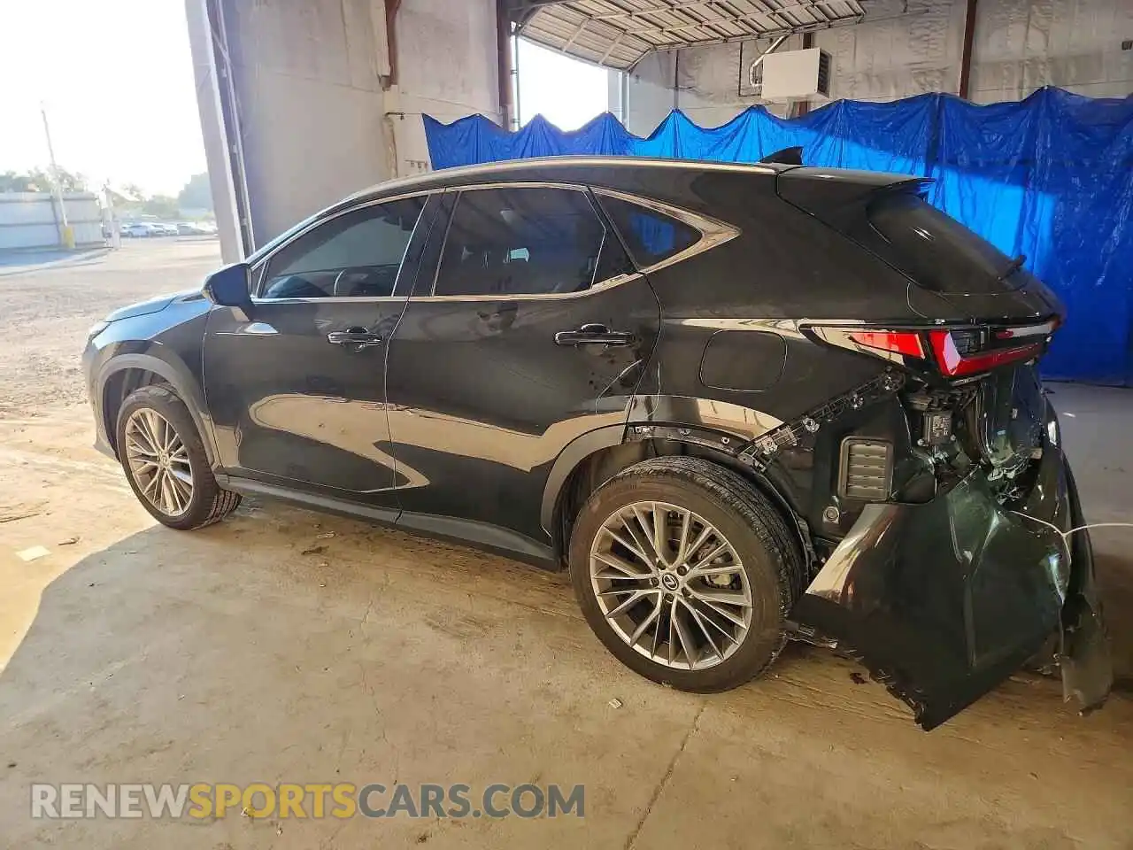 2 Photograph of a damaged car 2T2HKCEZ9RC027282 LEXUS NX 2024