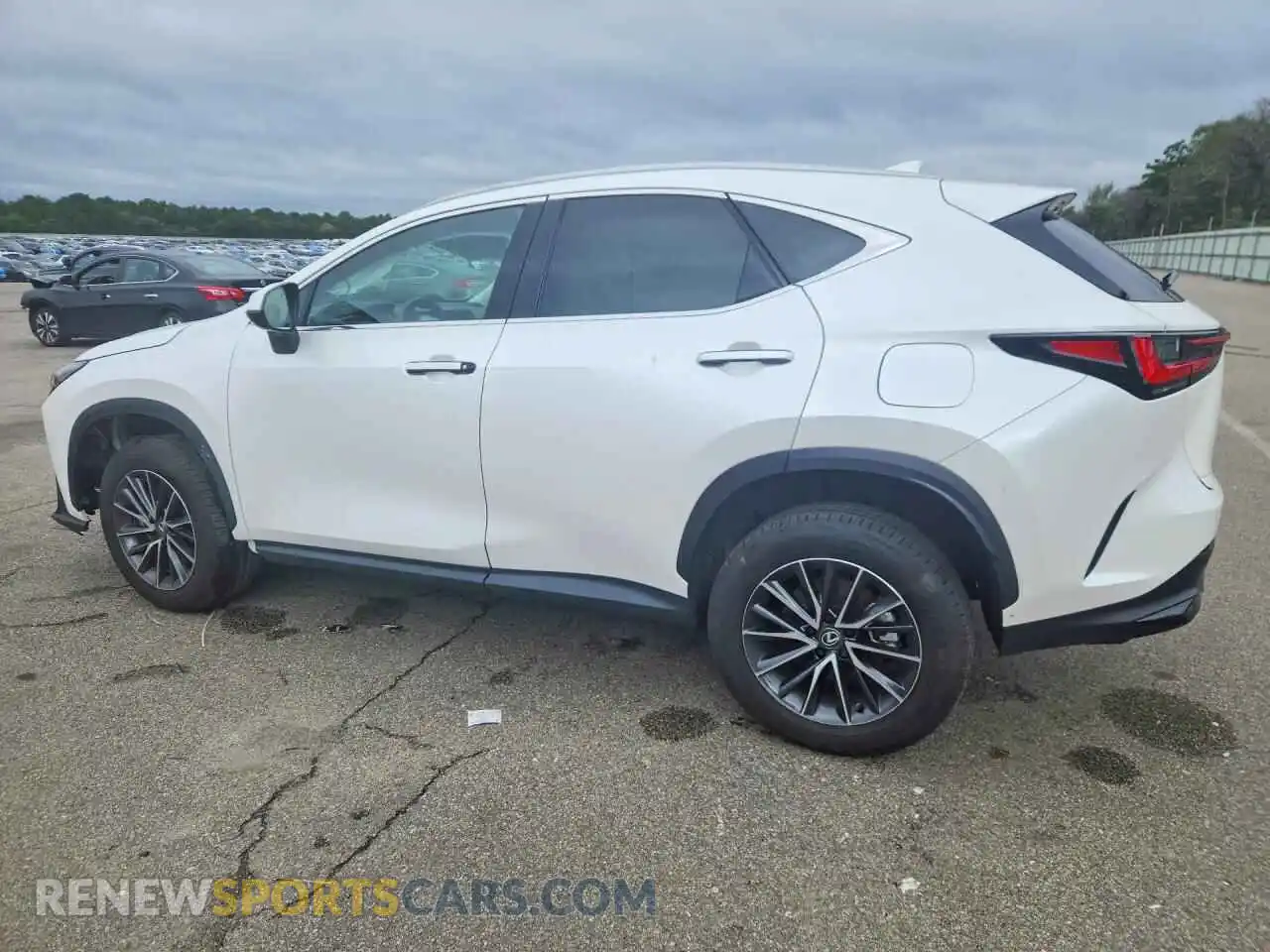 2 Photograph of a damaged car 2T2AGCEZ5SC083292 LEXUS NX 2025