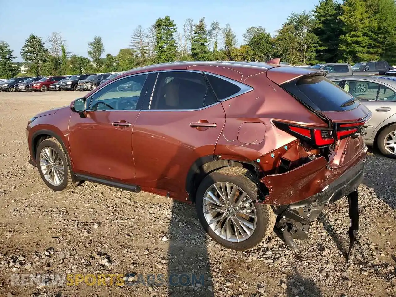 2 Photograph of a damaged car 2T2HGCEZ2TC107208 LEXUS NX 2026