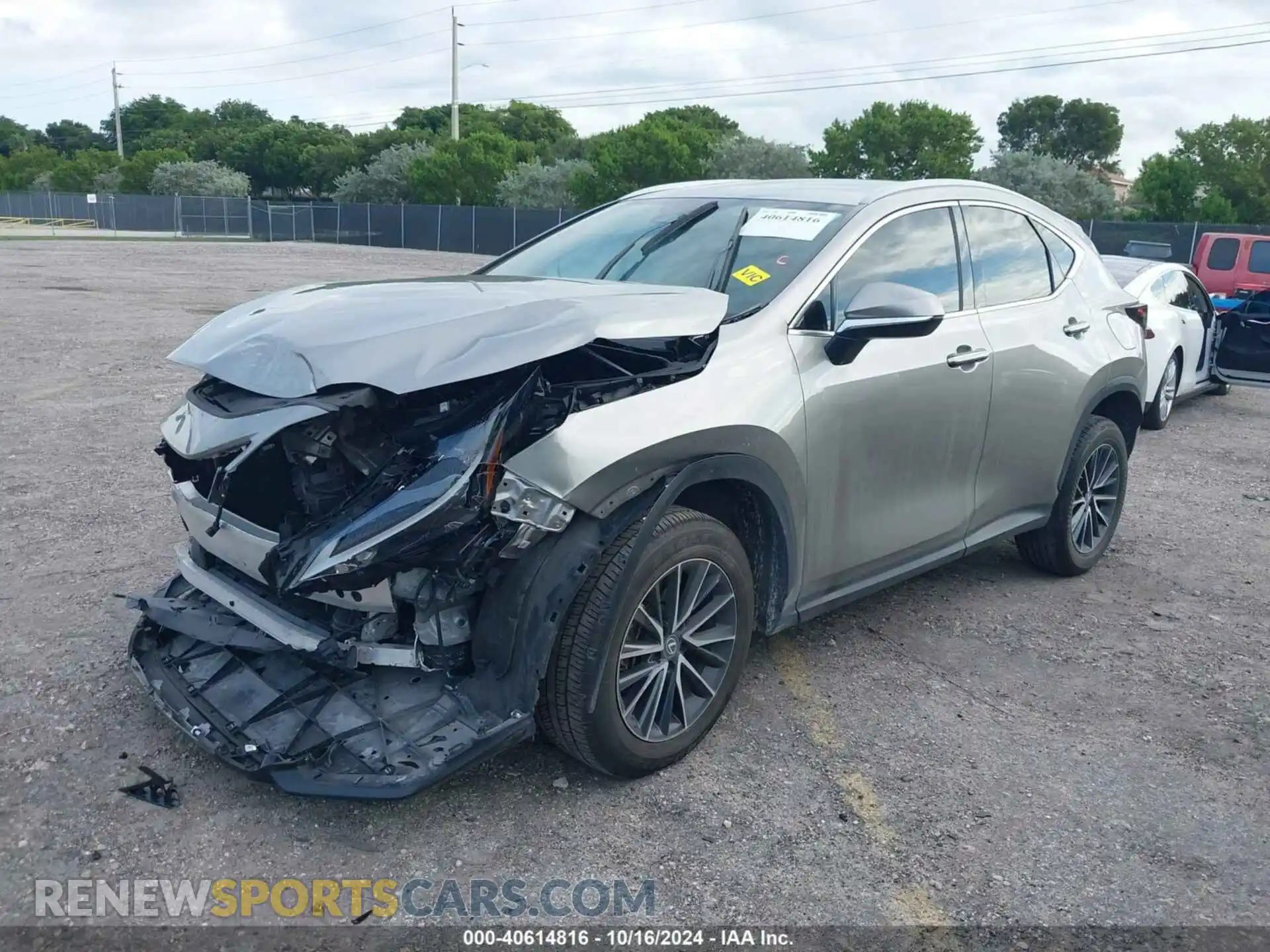 2 Photograph of a damaged car 2T2ADCAZ3RC007935 LEXUS NX 250 2024