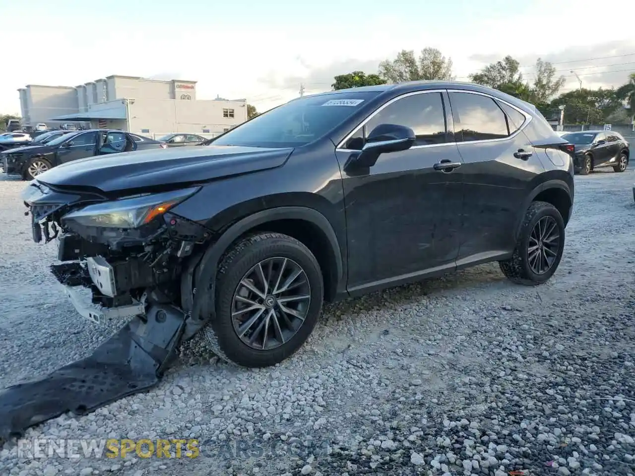 1 Фотография поврежденного автомобиля 2T2GDCAZ0RC006350 LEXUS NX 250 PRE 2024