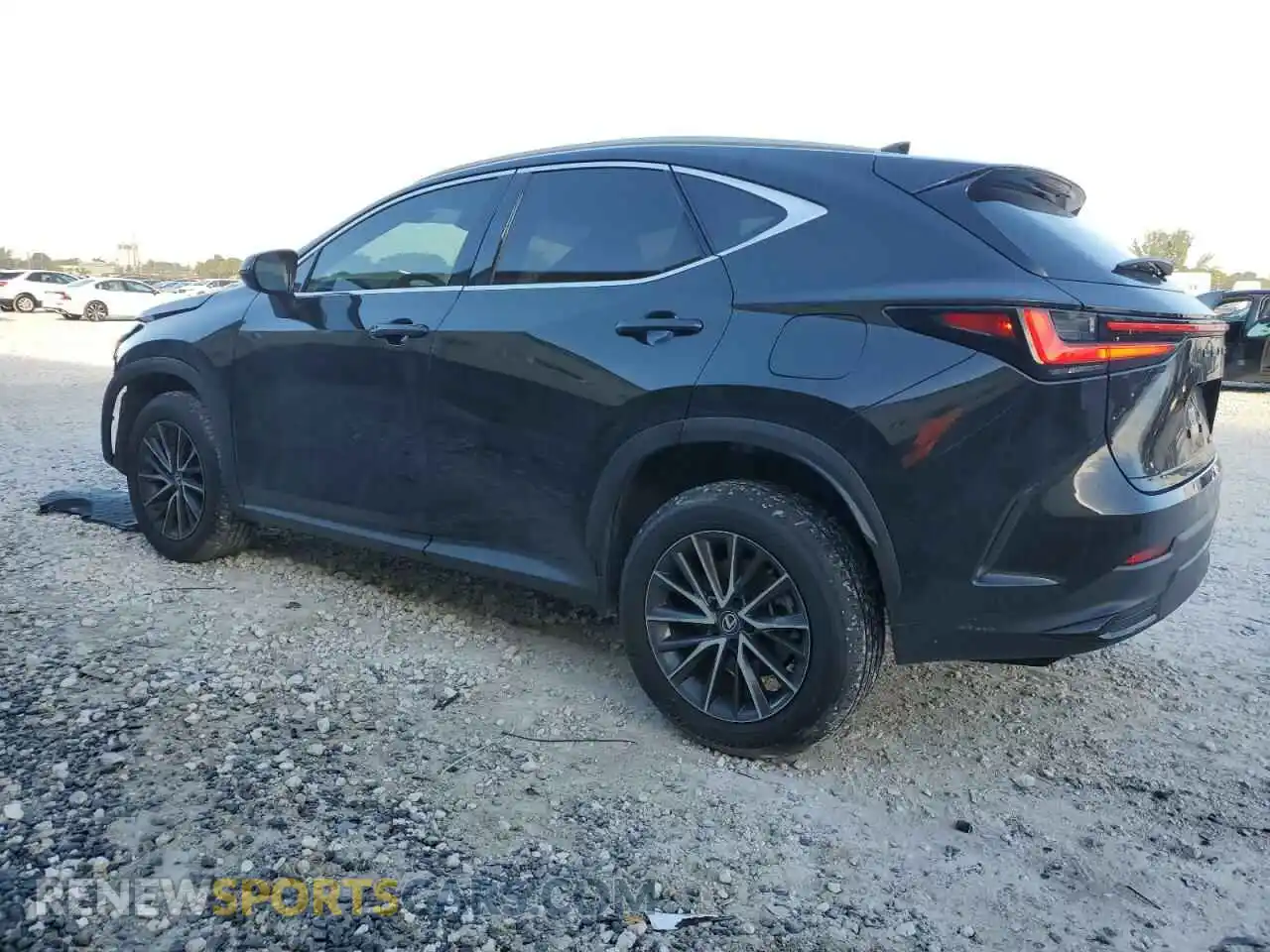2 Фотография поврежденного автомобиля 2T2GDCAZ0RC006350 LEXUS NX 250 PRE 2024
