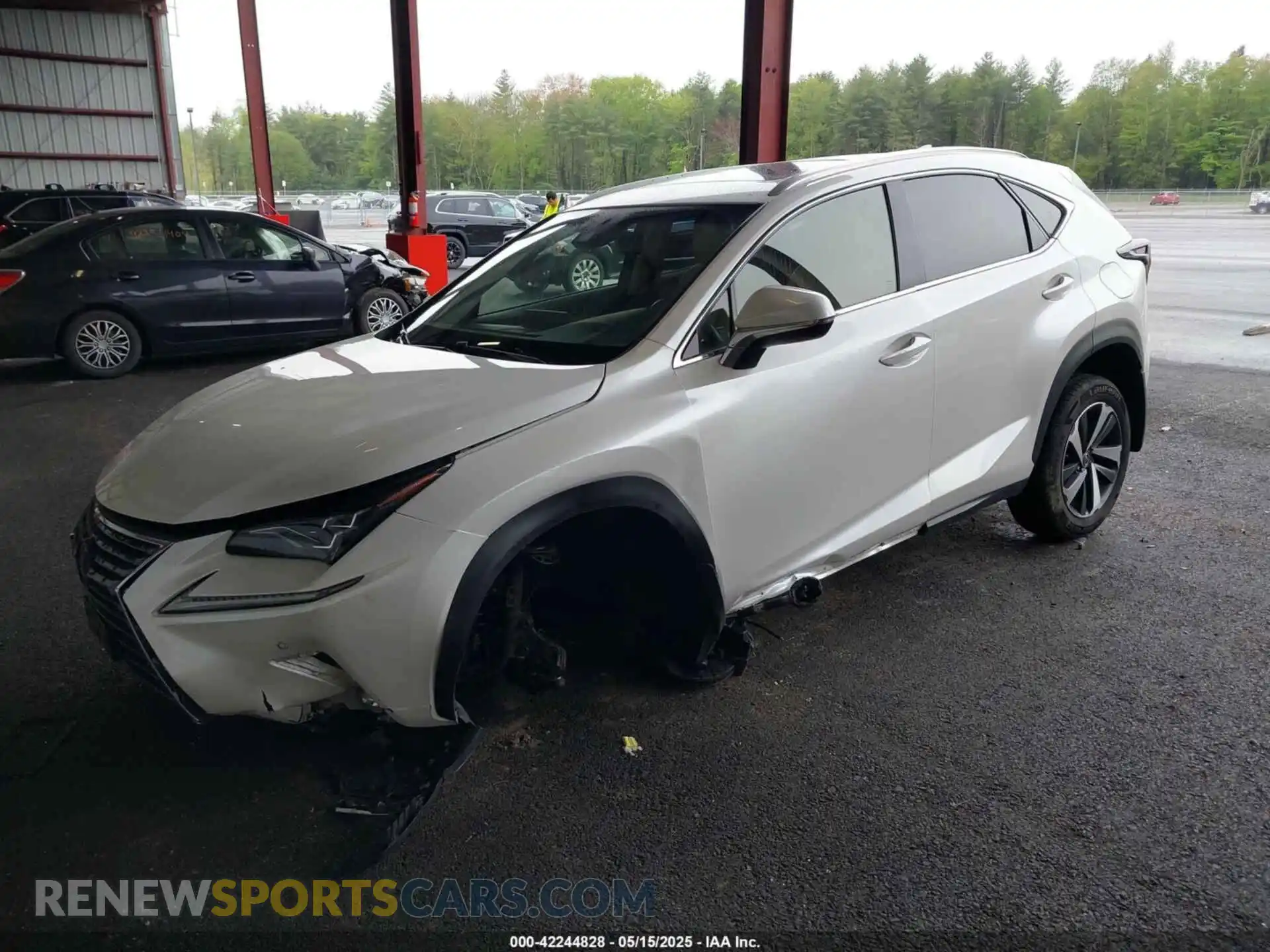 2 Фотография поврежденного автомобиля JTJBARBZ2K2183055 LEXUS NX 300 2019