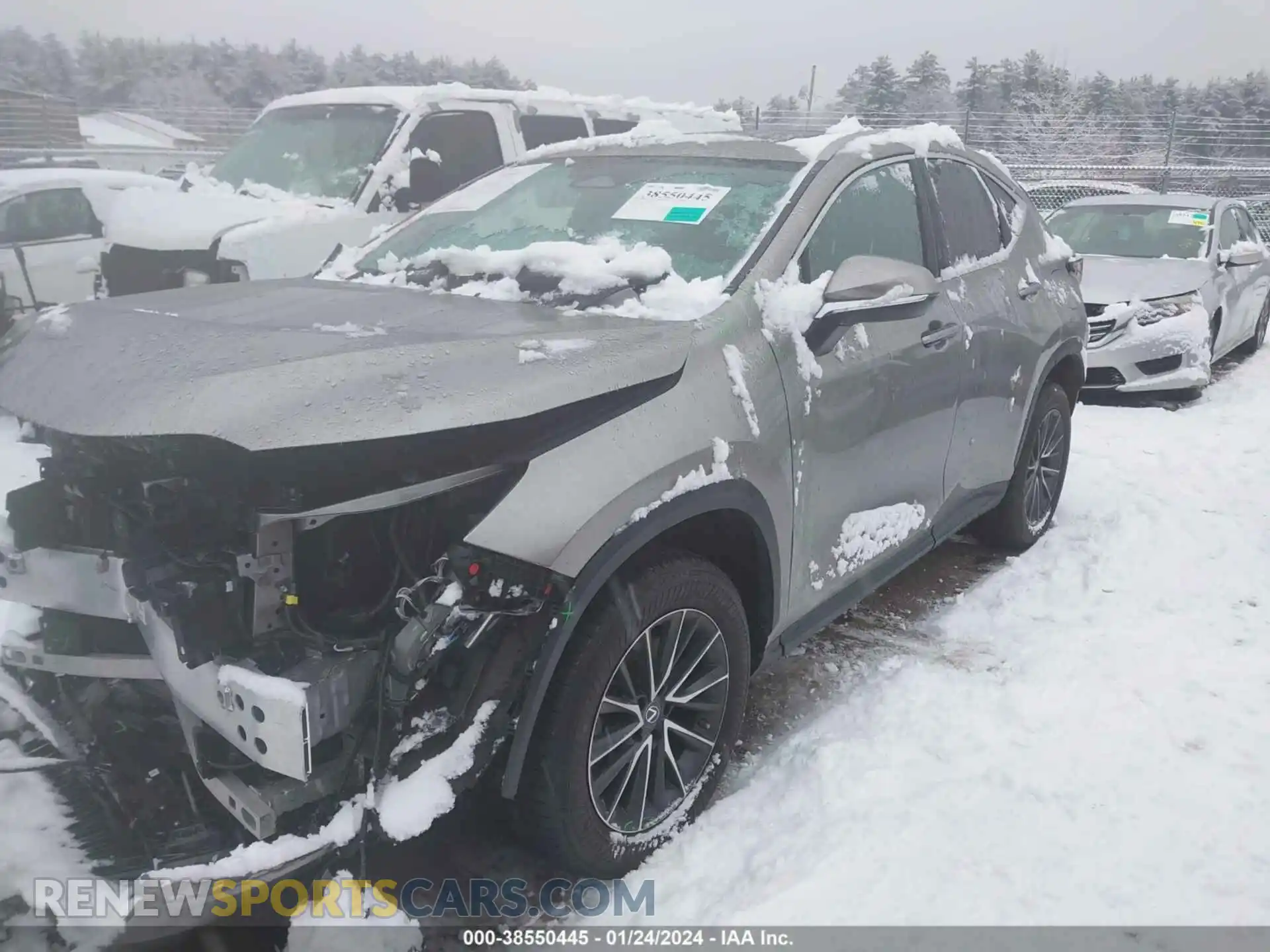 2 Photograph of a damaged car 2T2GGCEZ2PC016716 LEXUS NX 350 2023