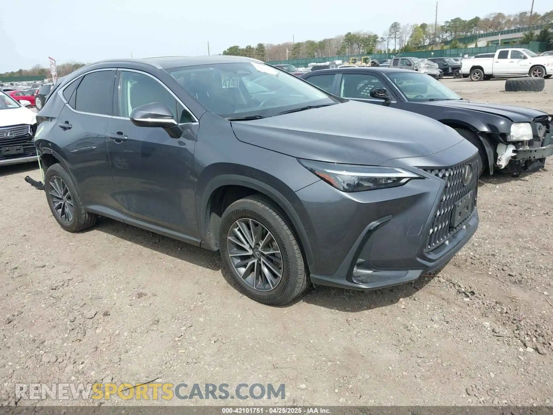 1 Photograph of a damaged car 2T2GGCEZ8PC024142 LEXUS NX 350 2023