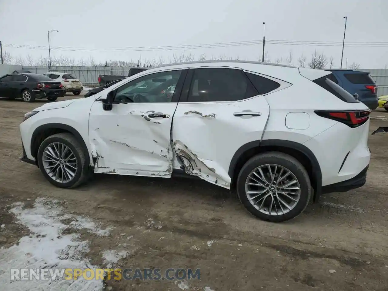2 Photograph of a damaged car 2T2GGCEZ8PC026876 LEXUS NX 350 2023