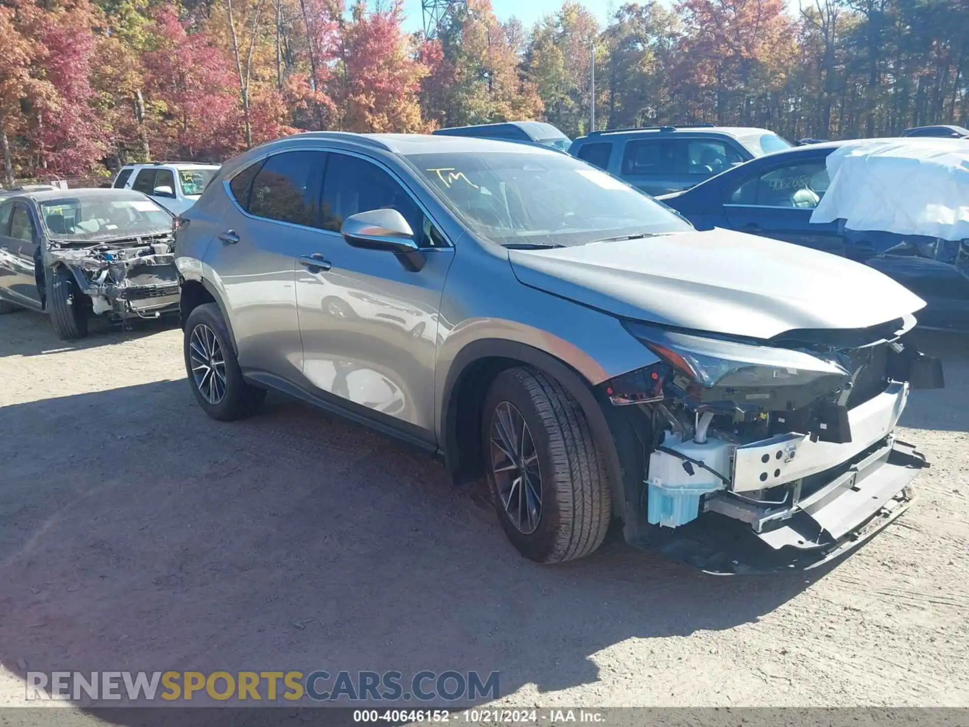 1 Photograph of a damaged car 2T2AGCEZ3RC045926 LEXUS NX 350 2024