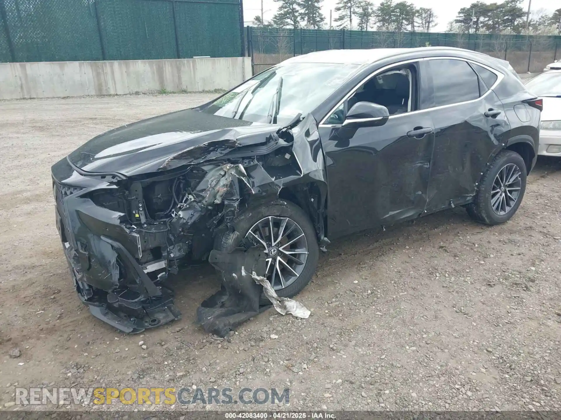 2 Photograph of a damaged car 2T2GGCEZ0RC059809 LEXUS NX 350 2024