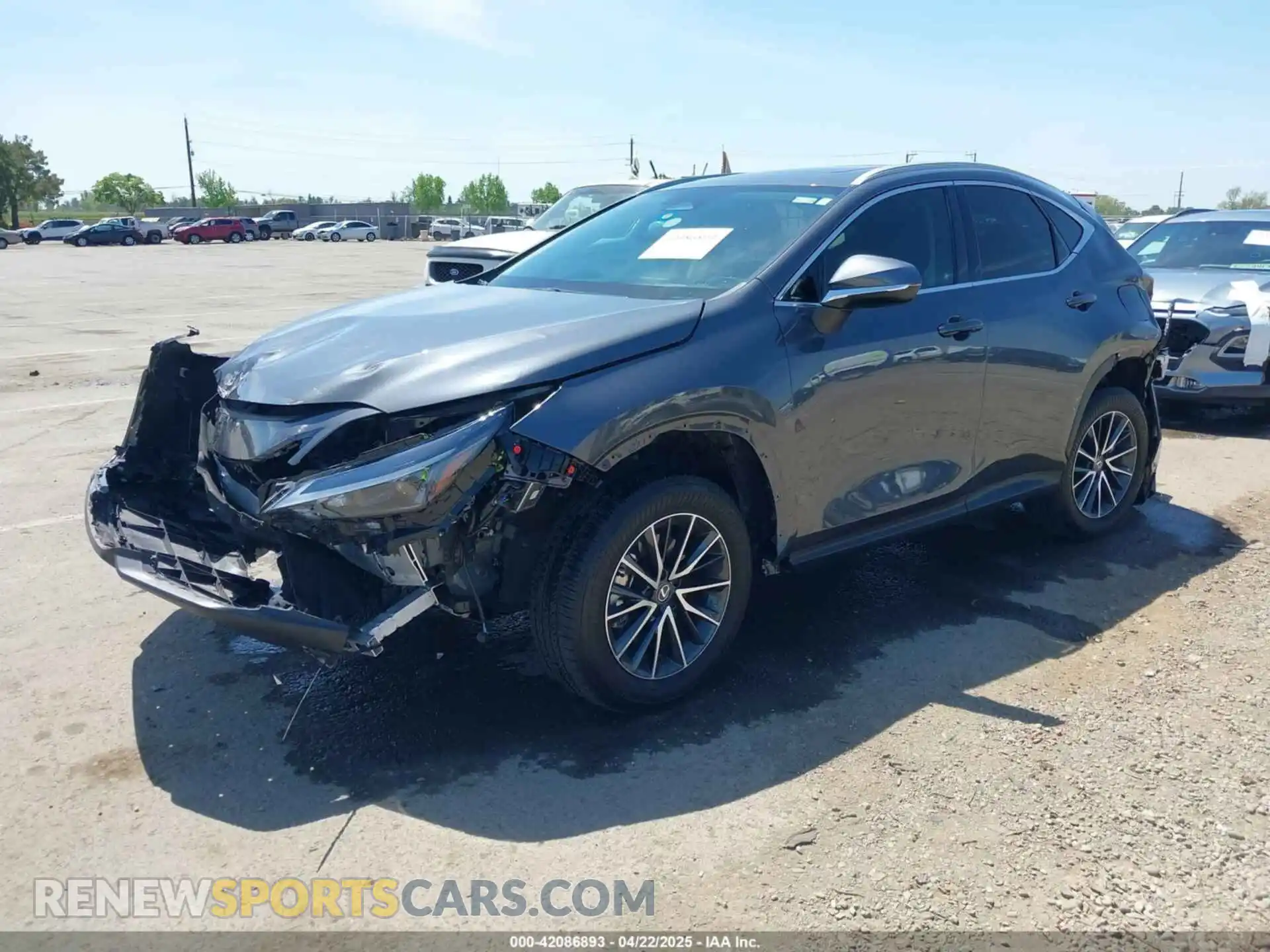 2 Фотография поврежденного автомобиля 2T2GGCEZ4RC053138 LEXUS NX 350 2024
