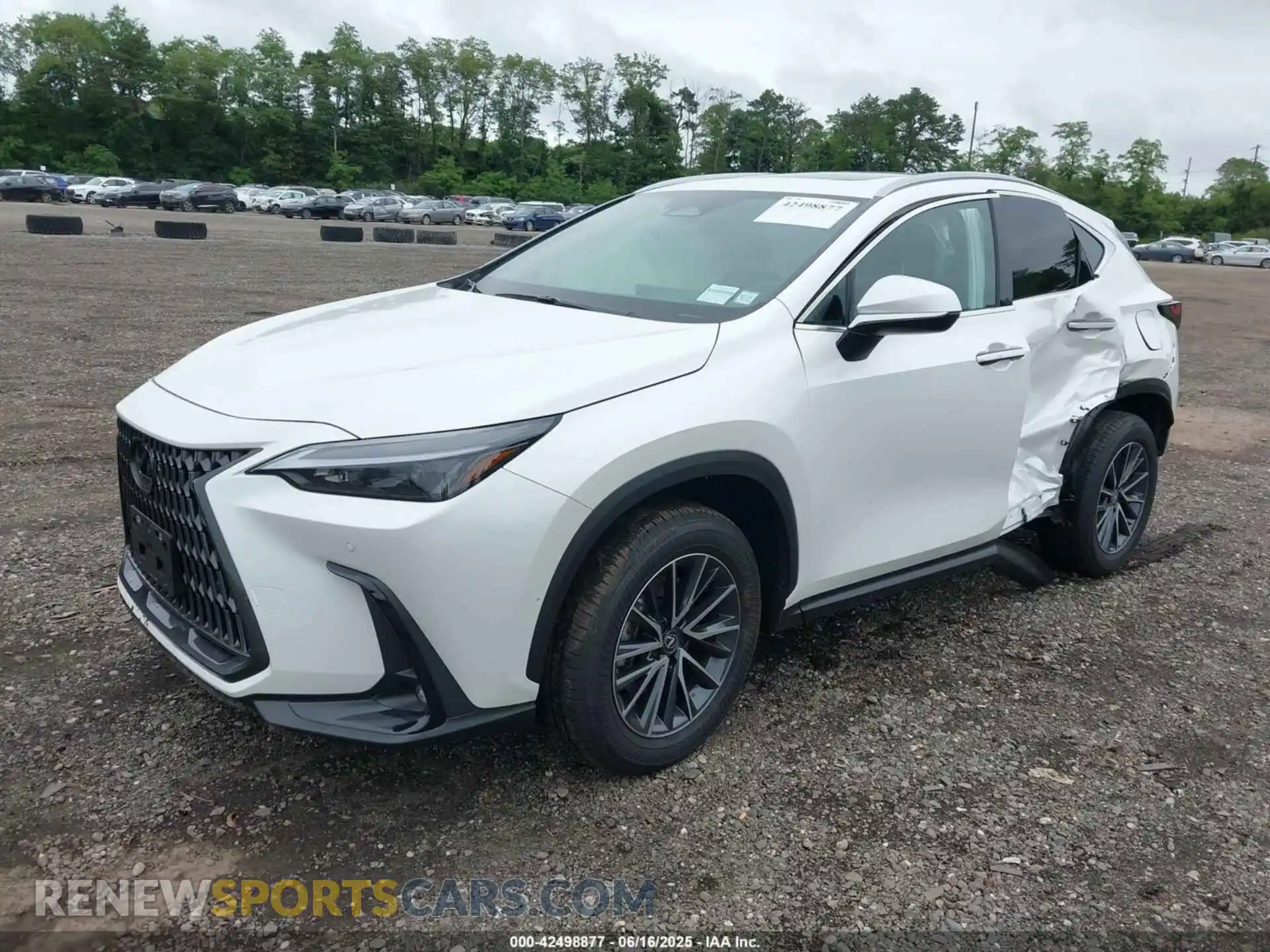 2 Photograph of a damaged car 2T2GGCEZ1SC081789 LEXUS NX 350 2025