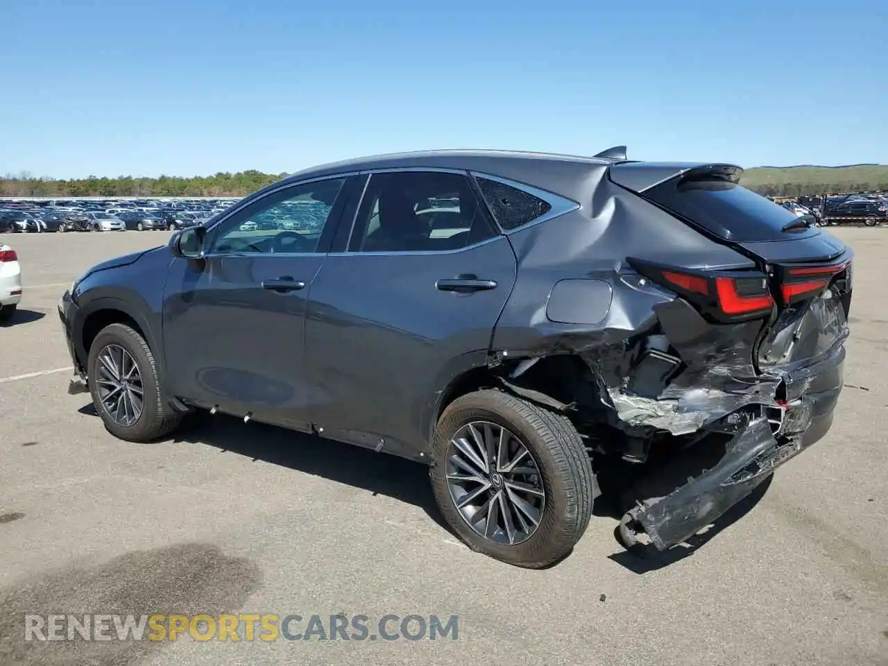 2 Фотография поврежденного автомобиля 2T2GGCEZ9RC034231 LEXUS NX 350 PRE 2024