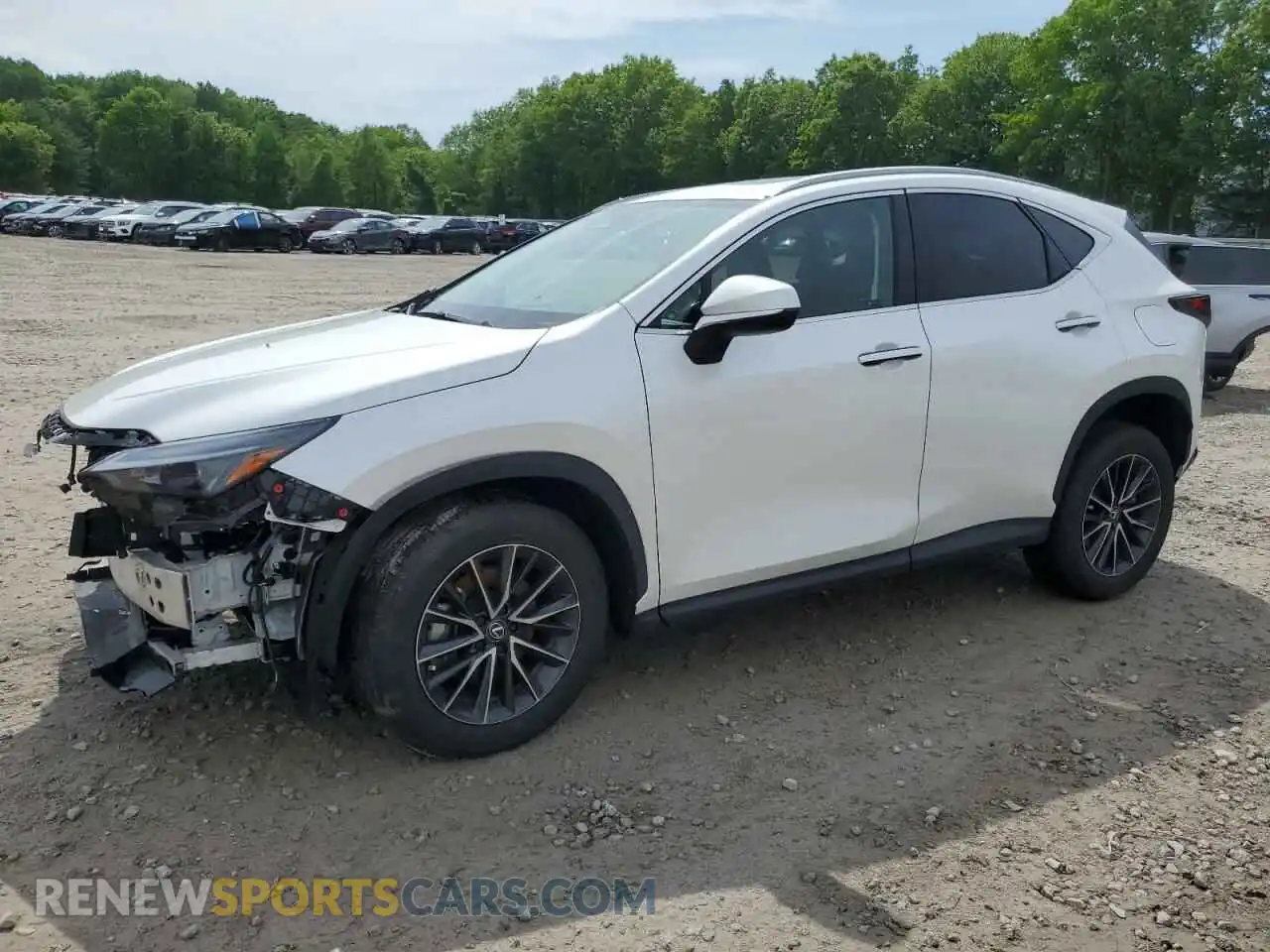 1 Фотография поврежденного автомобиля 2T2GGCEZXRC052446 LEXUS NX 350 PRE 2024