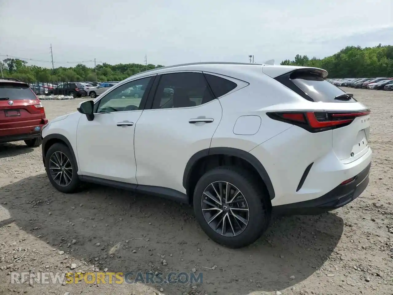 2 Фотография поврежденного автомобиля 2T2GGCEZXRC052446 LEXUS NX 350 PRE 2024