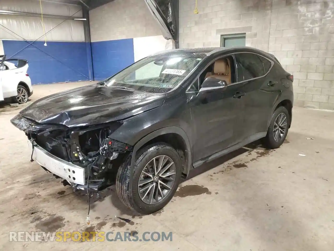 1 Фотография поврежденного автомобиля 2T2GGCEZ5SC066356 LEXUS NX 350 PRE 2025