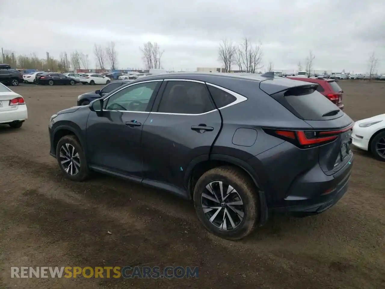 2 Photograph of a damaged car 2T2GKCEZ5SC047322 LEXUS NX 350H BA 2025