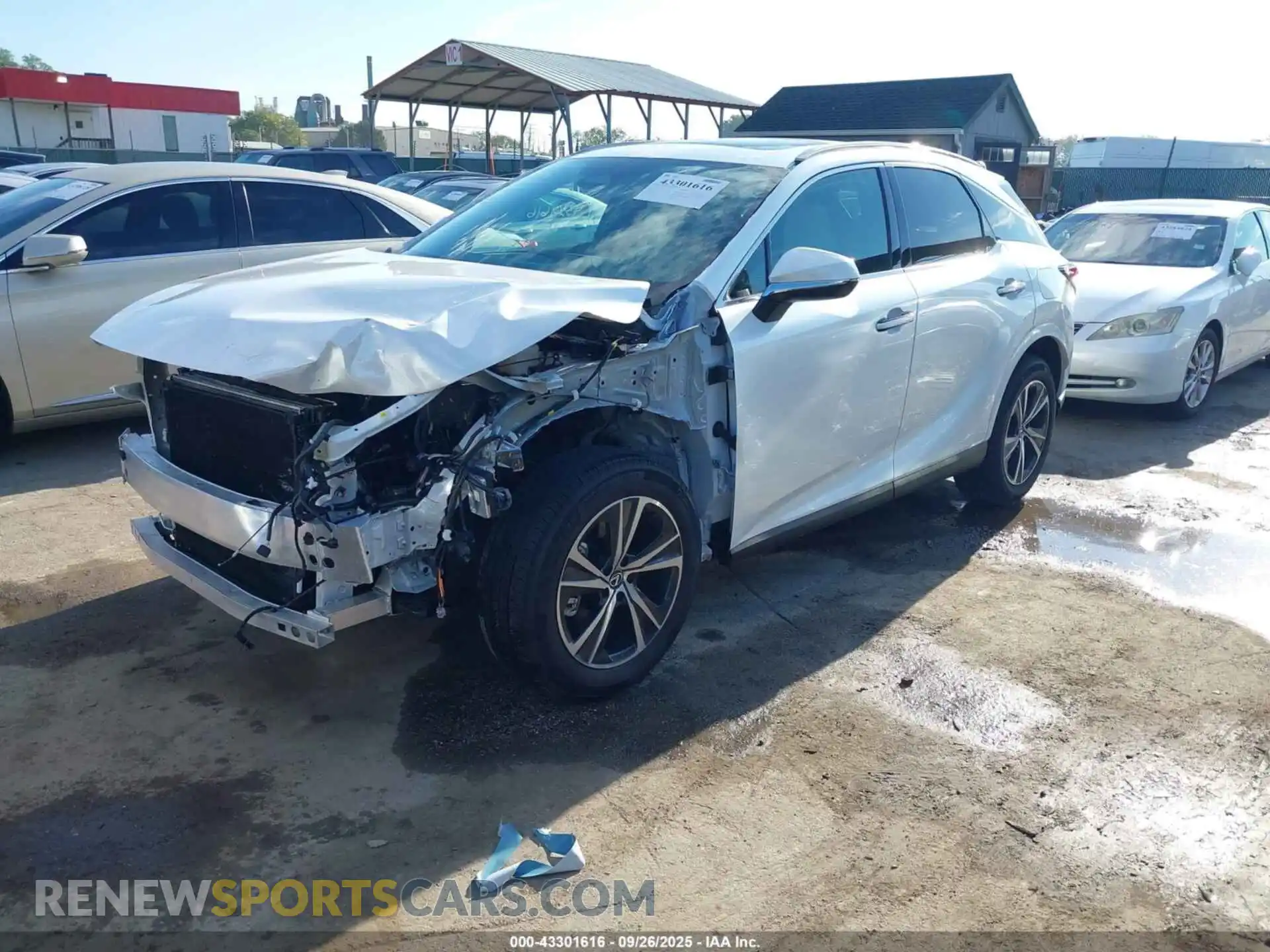 2 Photograph of a damaged car 2T2BAMCA5RC067001 LEXUS RX 350 2024