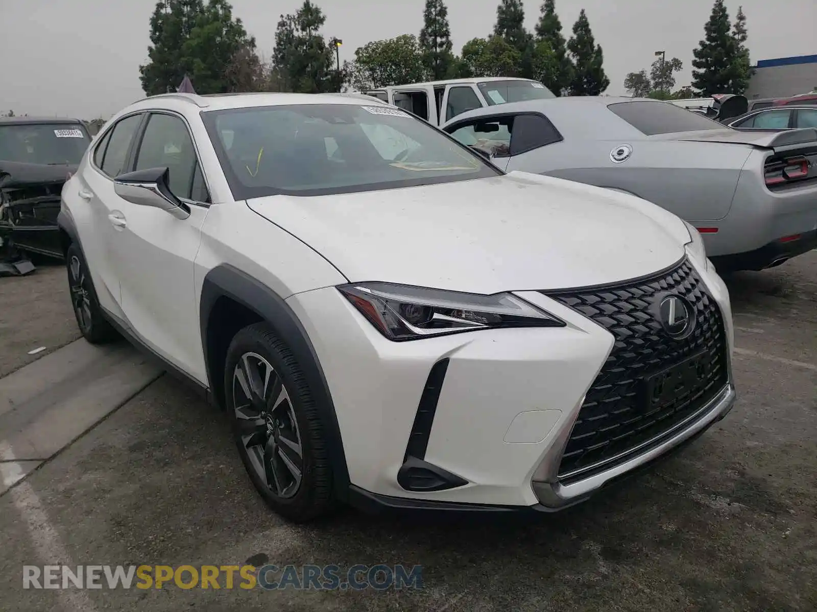 1 Photograph of a damaged car JTHP3JBH2L2024550 LEXUS UX 200 2020