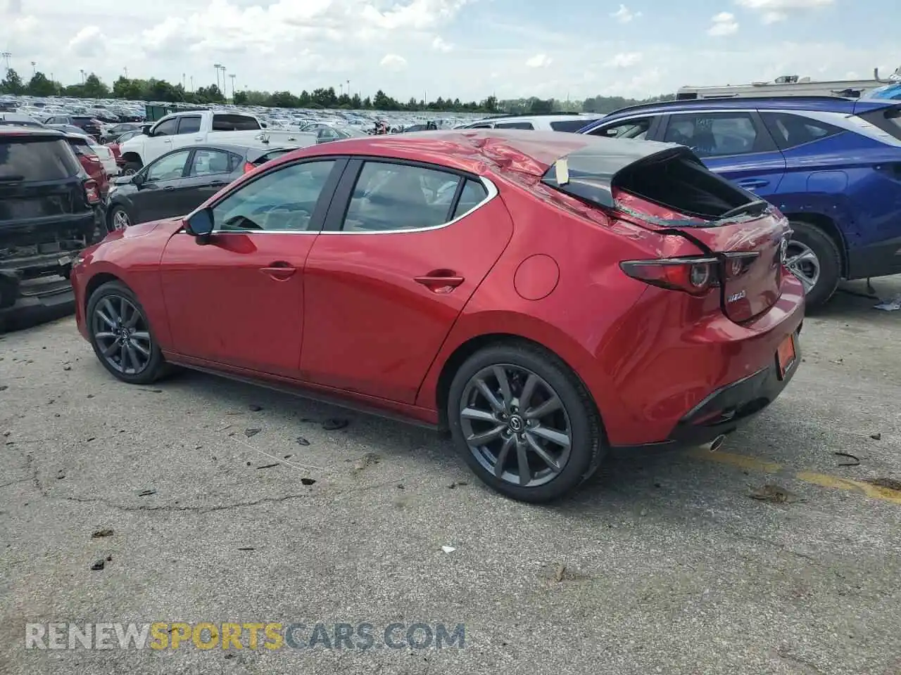 2 Photograph of a damaged car JM1BPALM5S1751861 MAZDA 3 2025