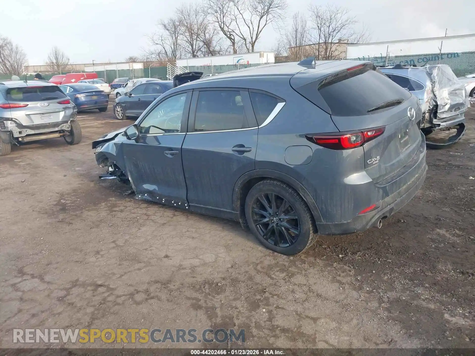 3 Photograph of a damaged car JM3KFBCM8N0610910 MAZDA CX-5 2022