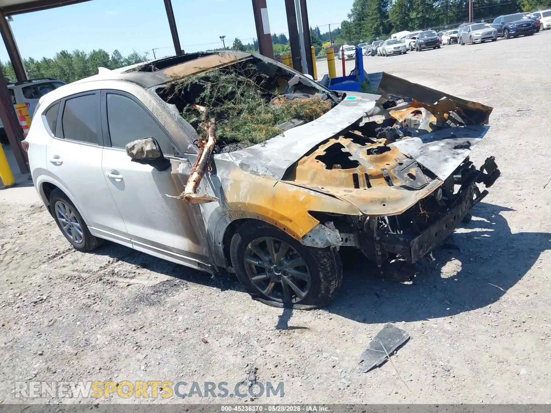 1 Photograph of a damaged car JM3KFBCL4R0453681 MAZDA CX-5 2024