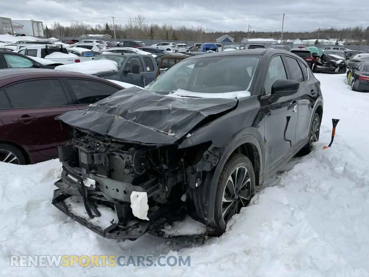 1 Photograph of a damaged car JM3KFBCL0R0444847 MAZDA CX-5 PREFE 2024