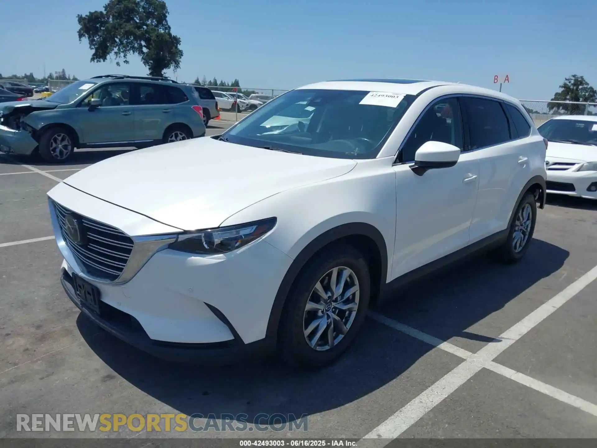 2 Photograph of a damaged car JM3TCACY8K0300956 MAZDA CX-9 2019