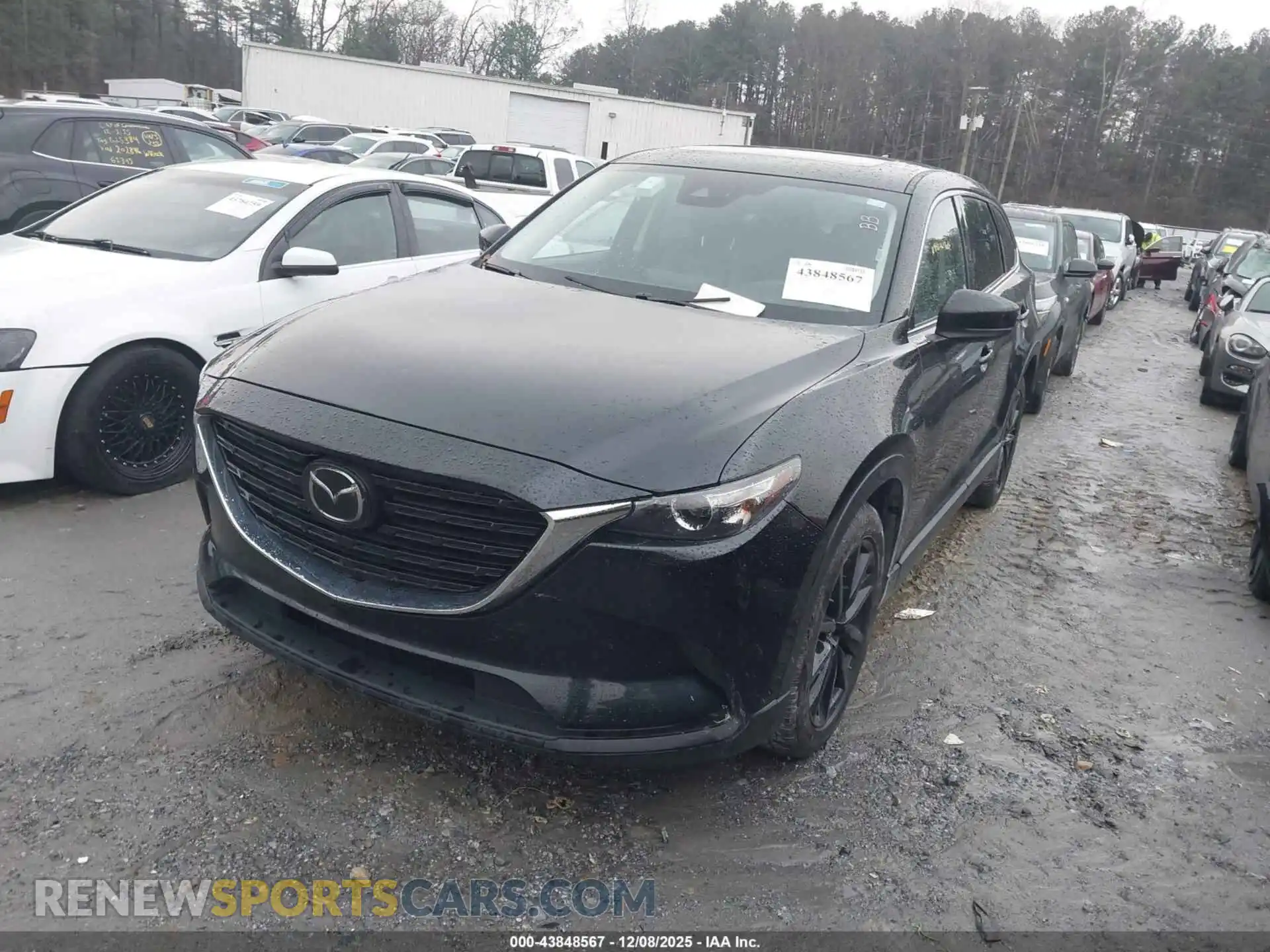 2 Photograph of a damaged car JM3TCBAY2P0657310 MAZDA CX-9 2023