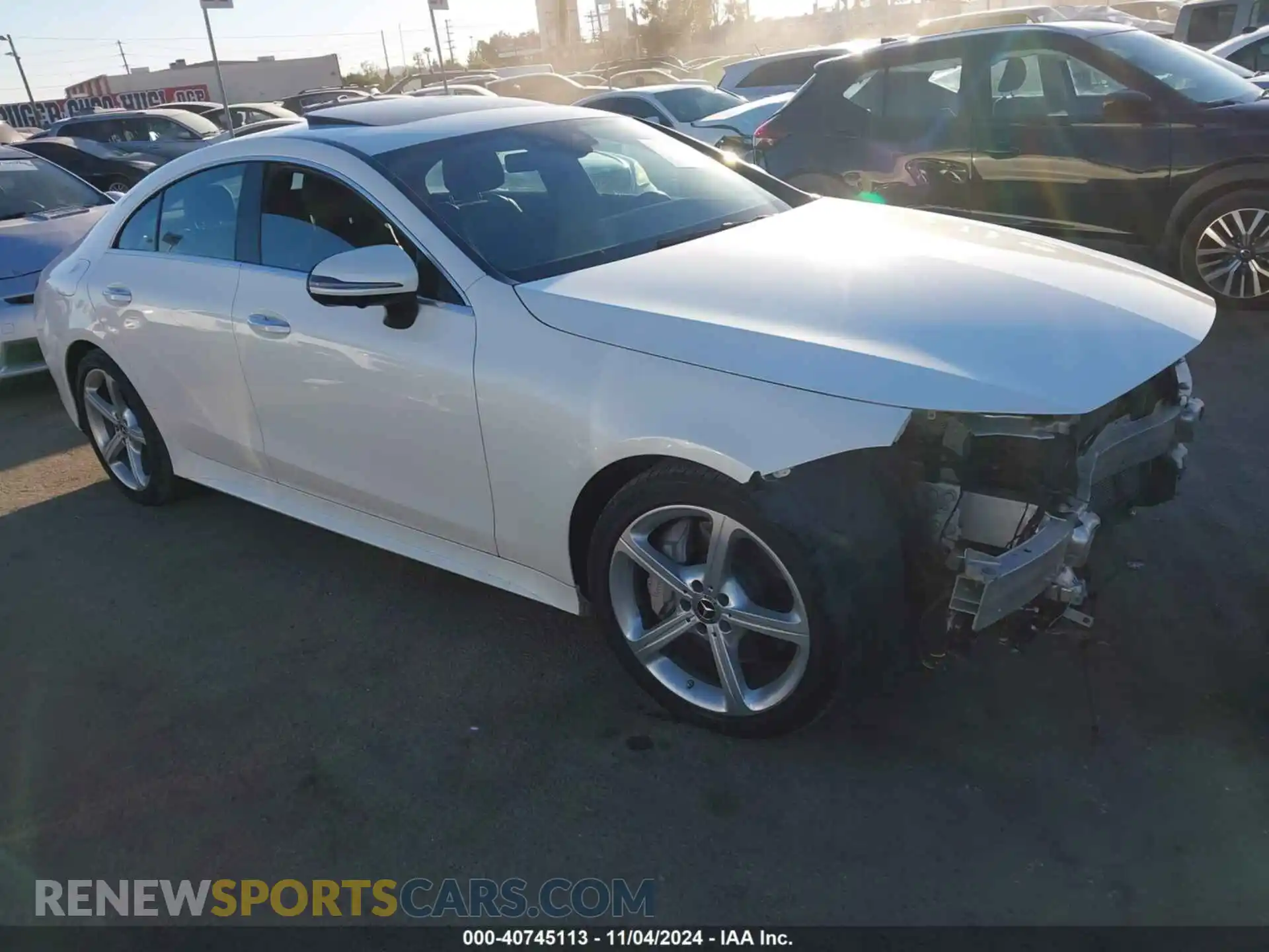 1 Photograph of a damaged car WDD2J5JB9KA012413 MERCEDES-BENZ CLS 450 2019