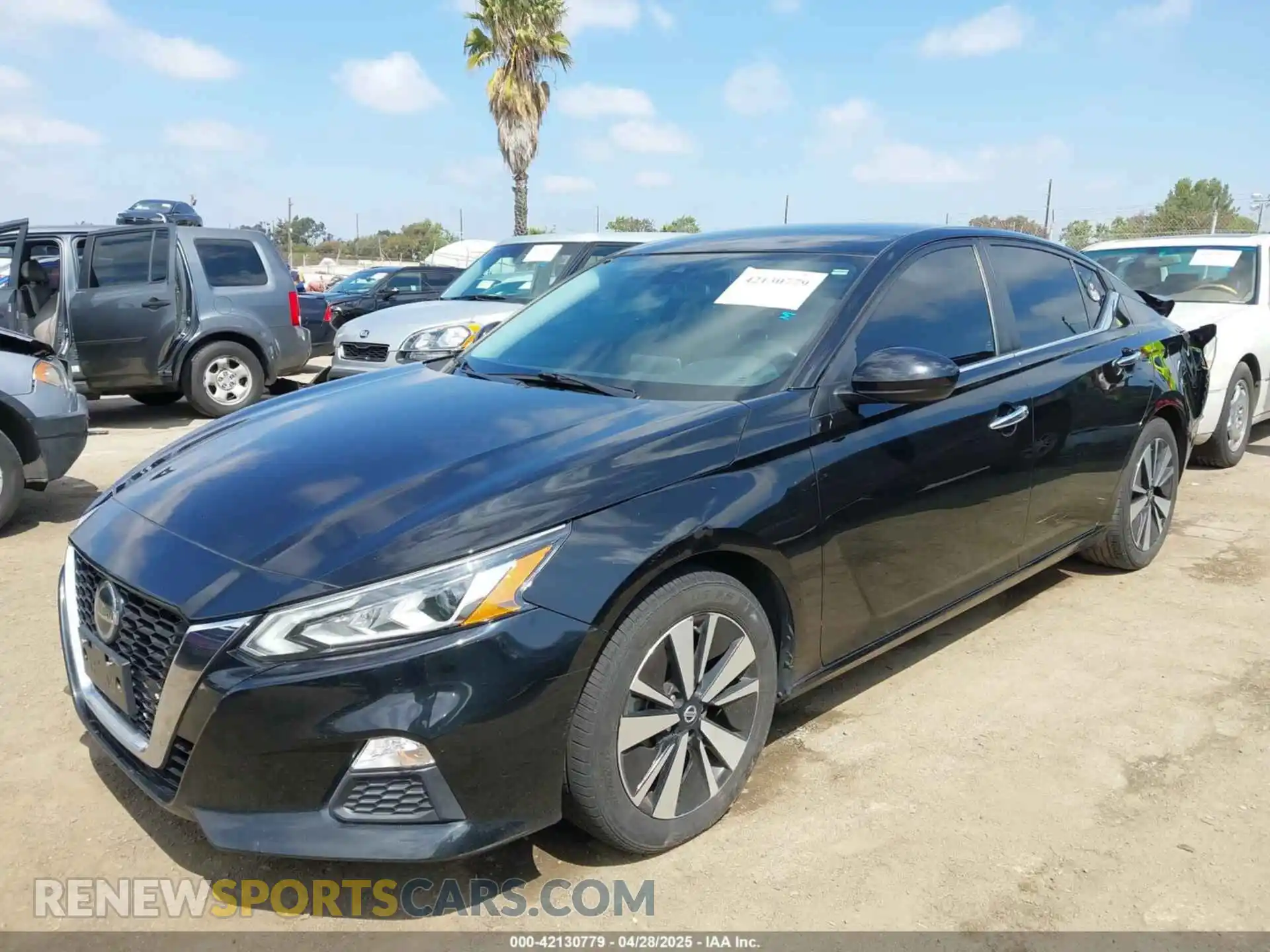 2 Photograph of a damaged car 1N4BL4DV4MN361842 NISSAN ALTIMA 2021