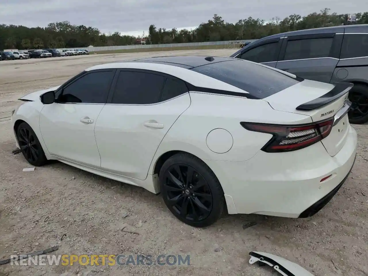 2 Photograph of a damaged car 1N4AA6AV0KC375456 NISSAN MAXIMA 2019