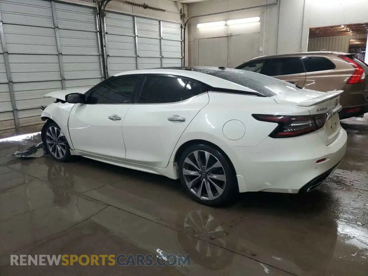 2 Photograph of a damaged car 1N4AA6AV0KC378681 NISSAN MAXIMA 2019