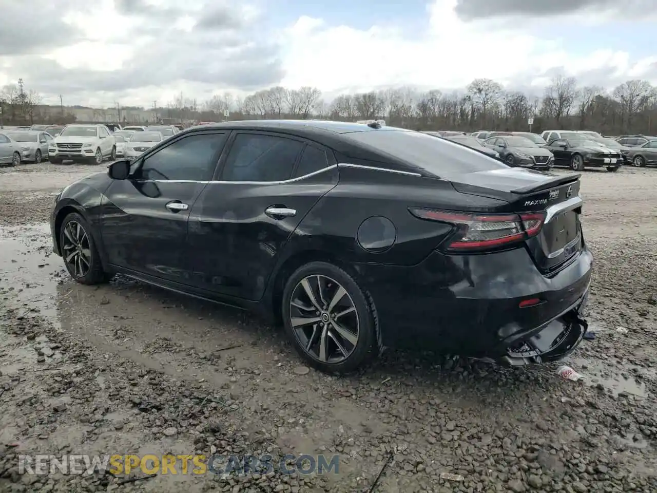 2 Photograph of a damaged car 1N4AA6AV1KC375255 NISSAN MAXIMA 2019