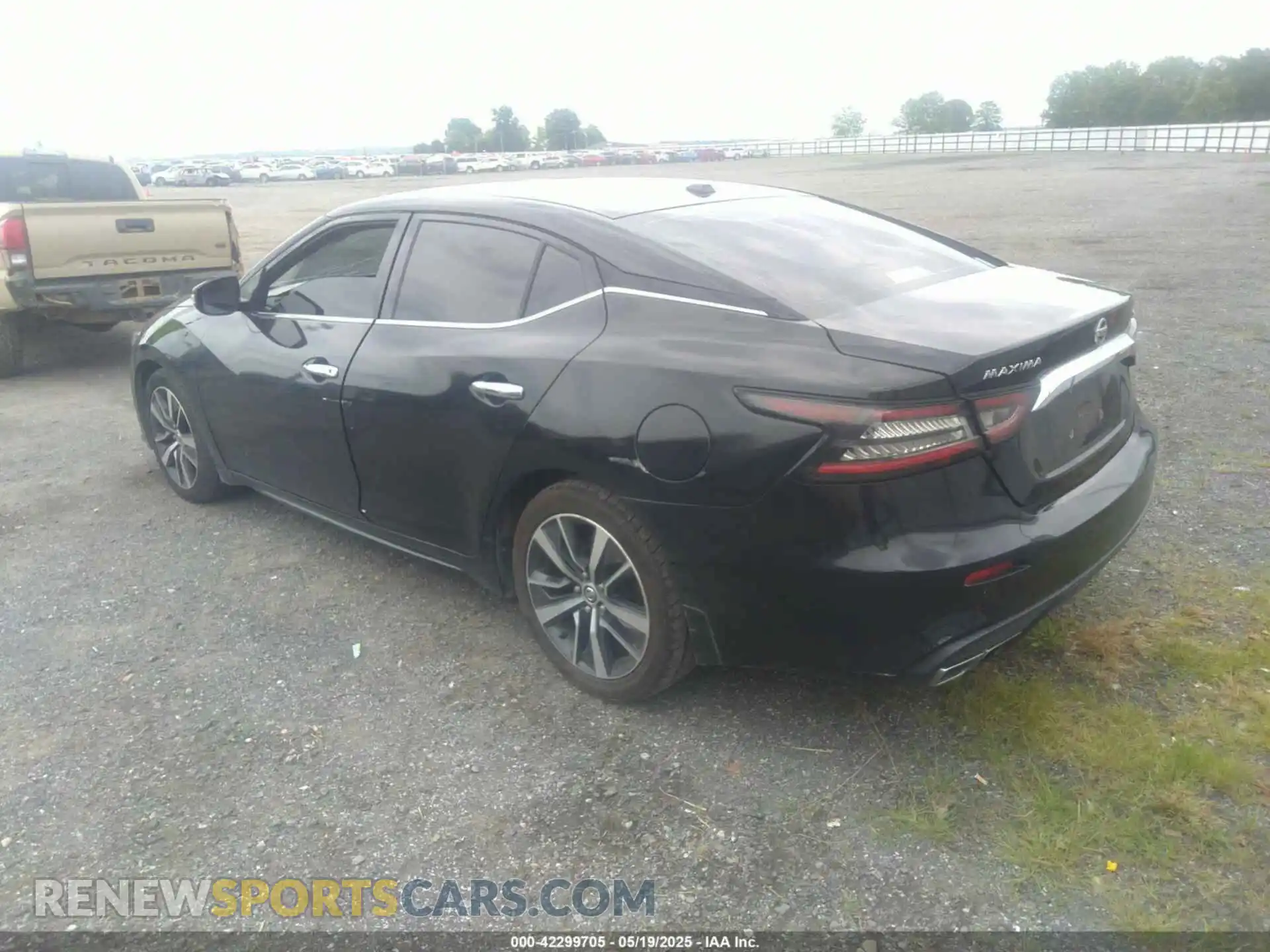 3 Photograph of a damaged car 1N4AA6AV4KC366176 NISSAN MAXIMA 2019