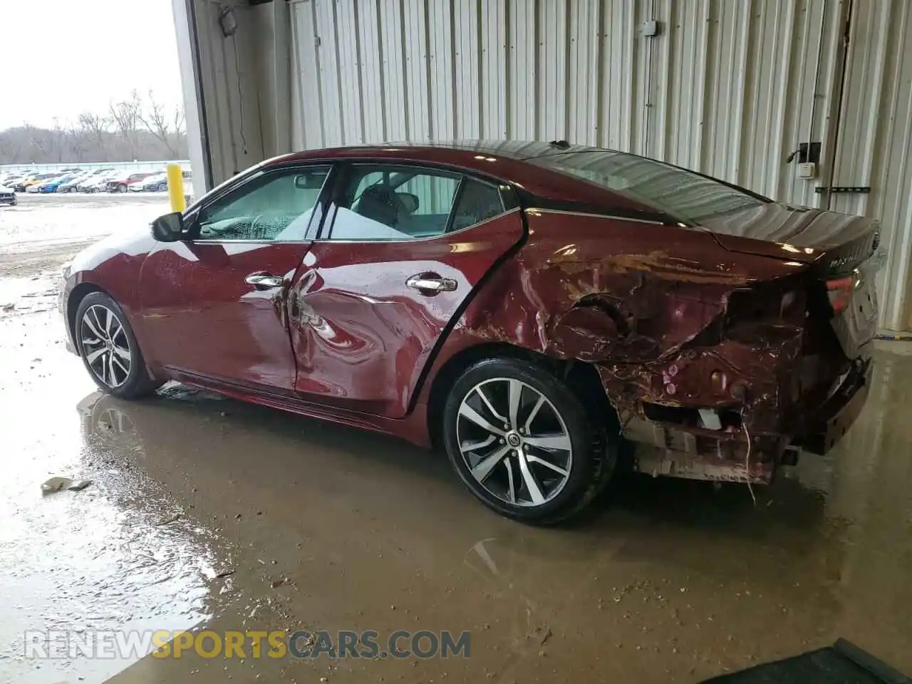 2 Photograph of a damaged car 1N4AA6AV7KC367774 NISSAN MAXIMA 2019
