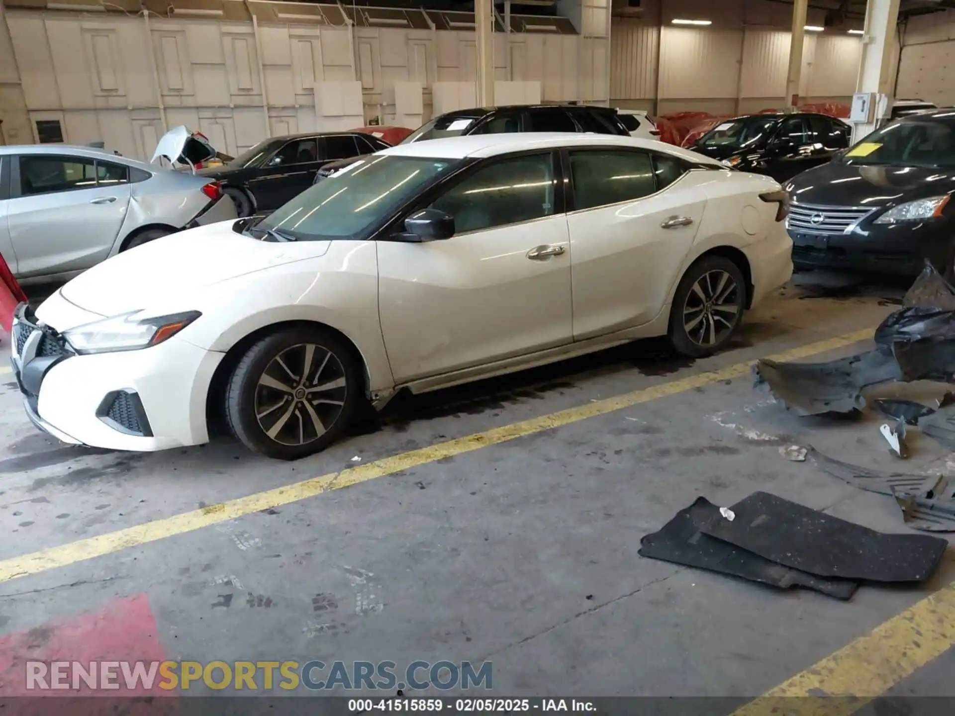 2 Photograph of a damaged car 1N4AA6AV9KC360048 NISSAN MAXIMA 2019