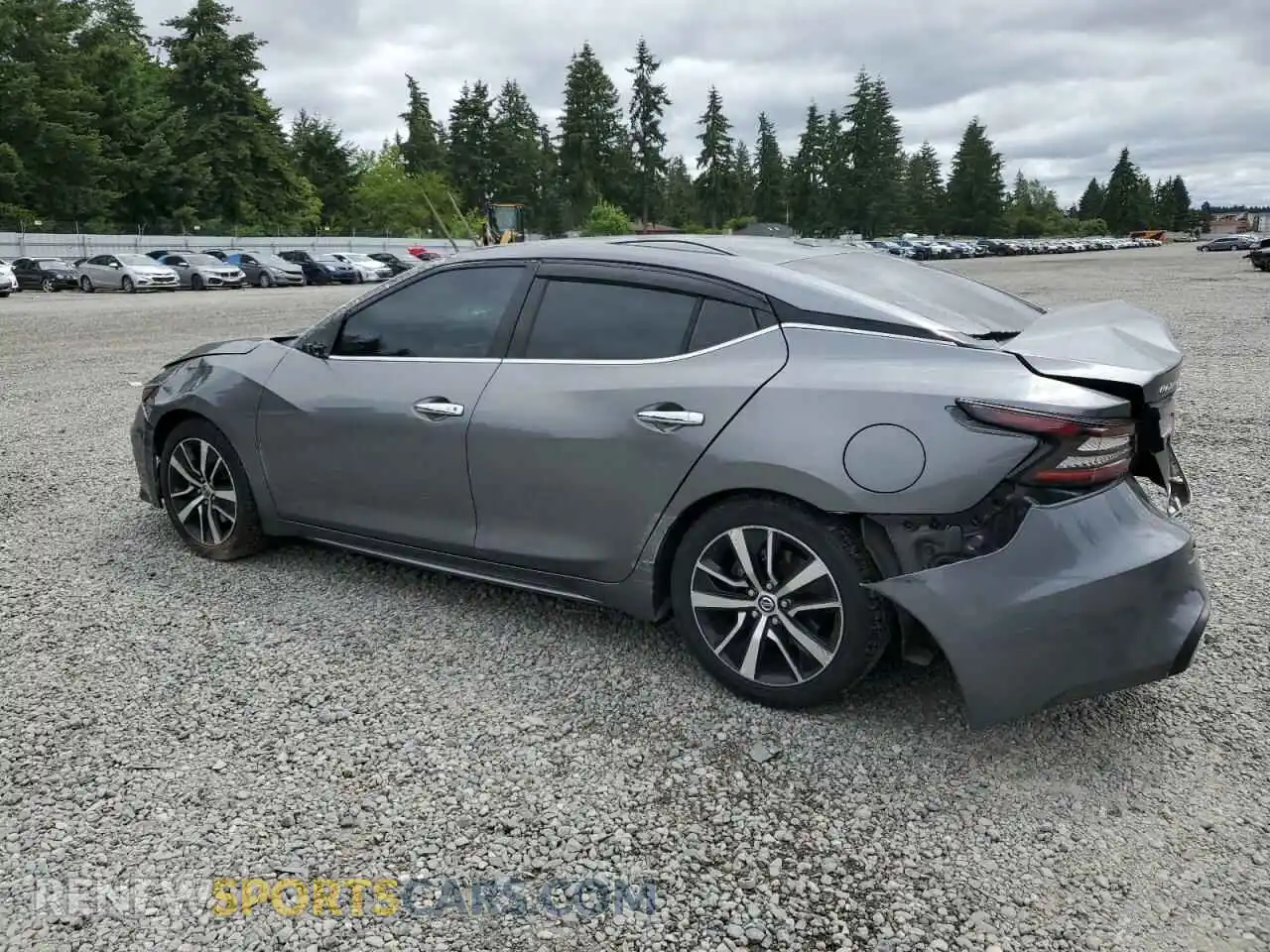 2 Photograph of a damaged car 1N4AA6CV0MC504375 NISSAN MAXIMA 2021