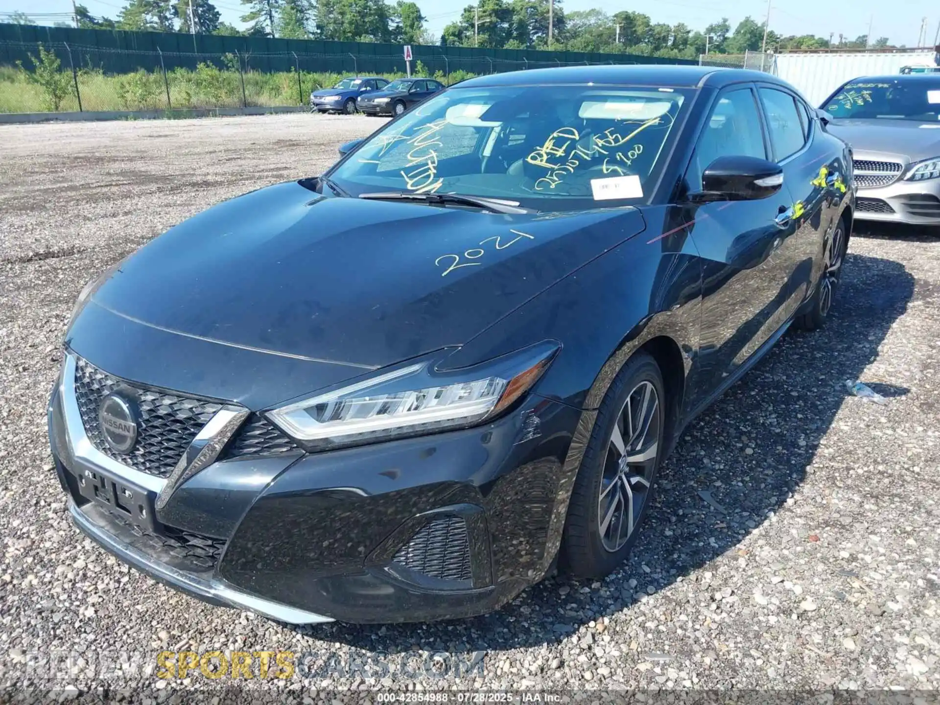 2 Photograph of a damaged car 1N4AA6CV0MC513089 NISSAN MAXIMA 2021