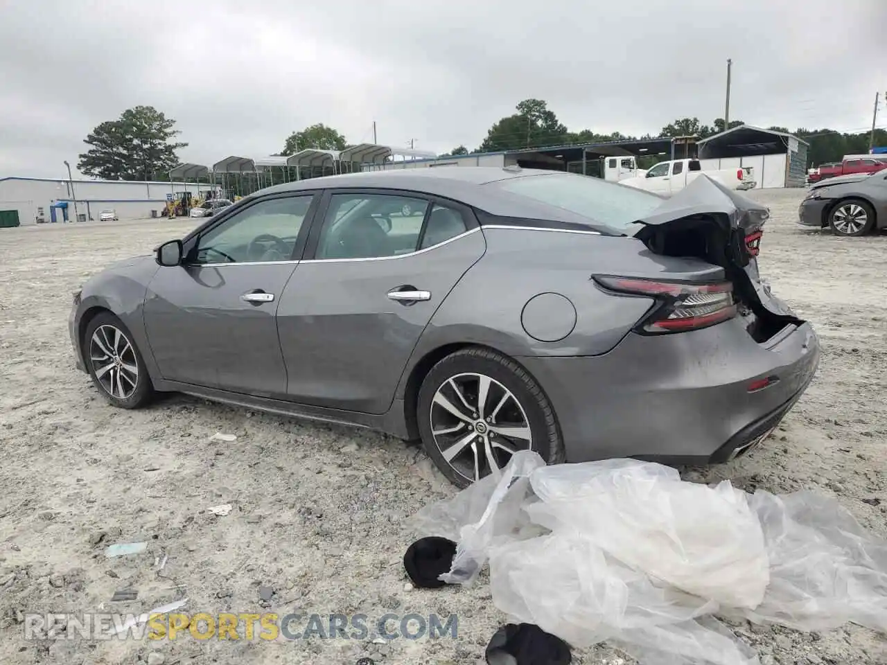 2 Photograph of a damaged car 1N4AA6CV0MC513397 NISSAN MAXIMA 2021