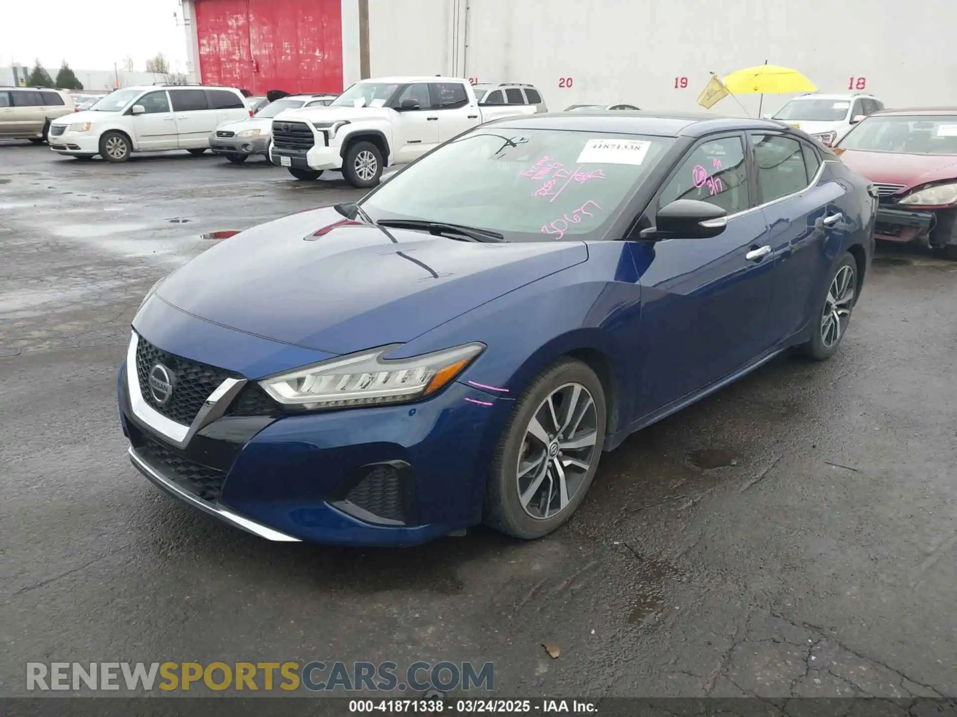 2 Photograph of a damaged car 1N4AA6CV0MC514002 NISSAN MAXIMA 2021