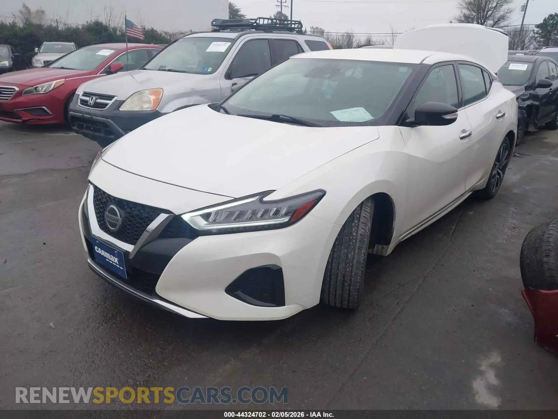 2 Photograph of a damaged car 1N4AA6CV2MC503535 NISSAN MAXIMA 2021