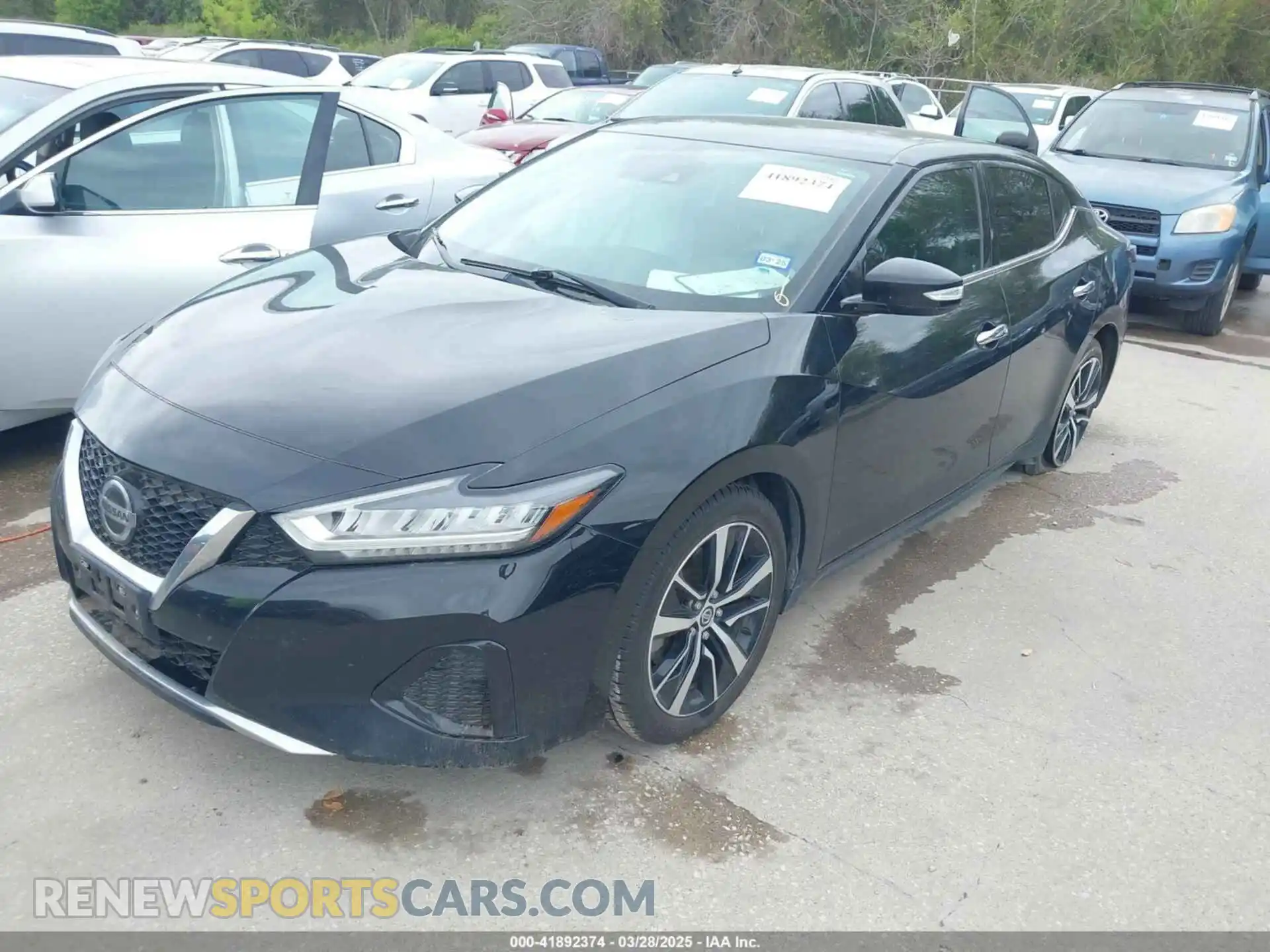 2 Photograph of a damaged car 1N4AA6CV2MC508525 NISSAN MAXIMA 2021