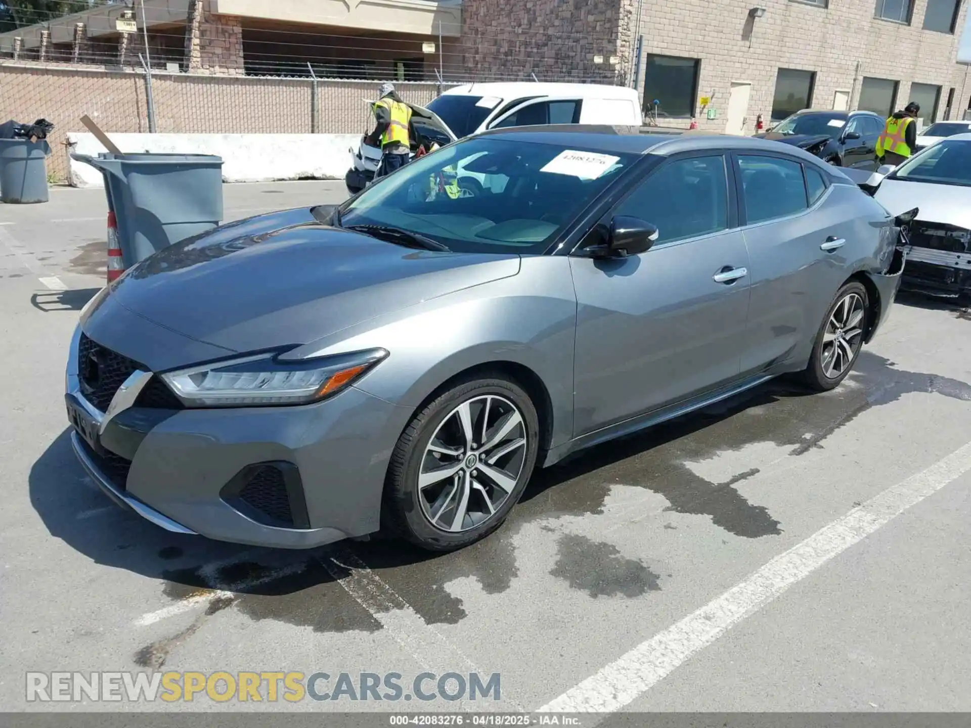 2 Photograph of a damaged car 1N4AA6CV3MC506783 NISSAN MAXIMA 2021