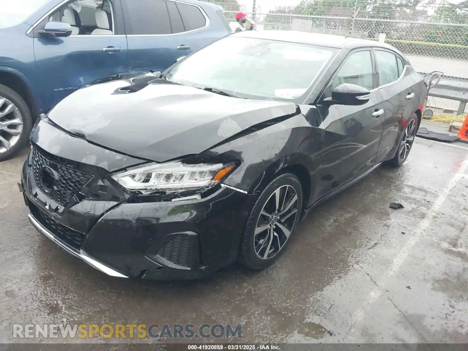 2 Photograph of a damaged car 1N4AA6CV3MC507948 NISSAN MAXIMA 2021