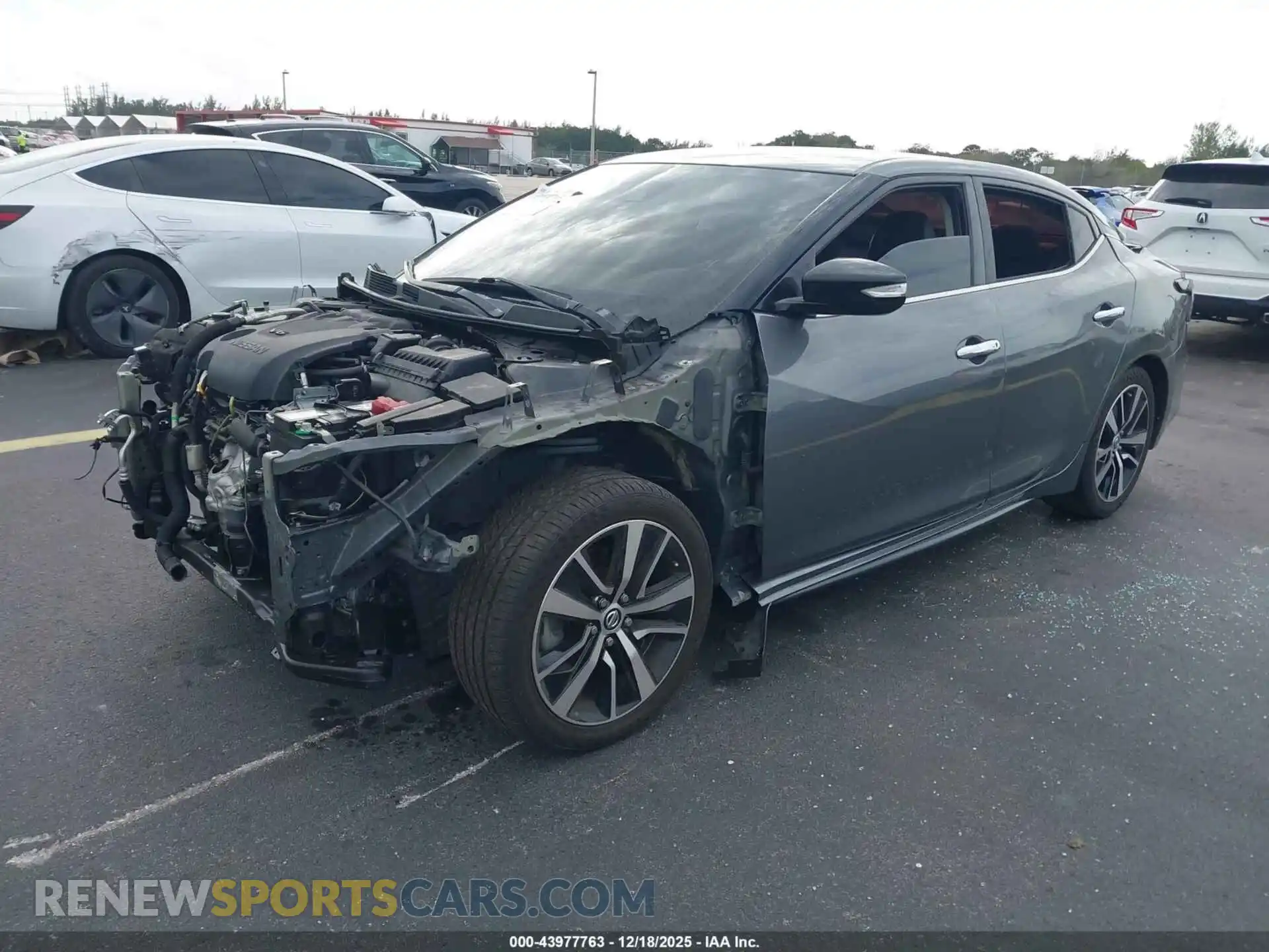 2 Photograph of a damaged car 1N4AA6CV3MC514141 NISSAN MAXIMA 2021