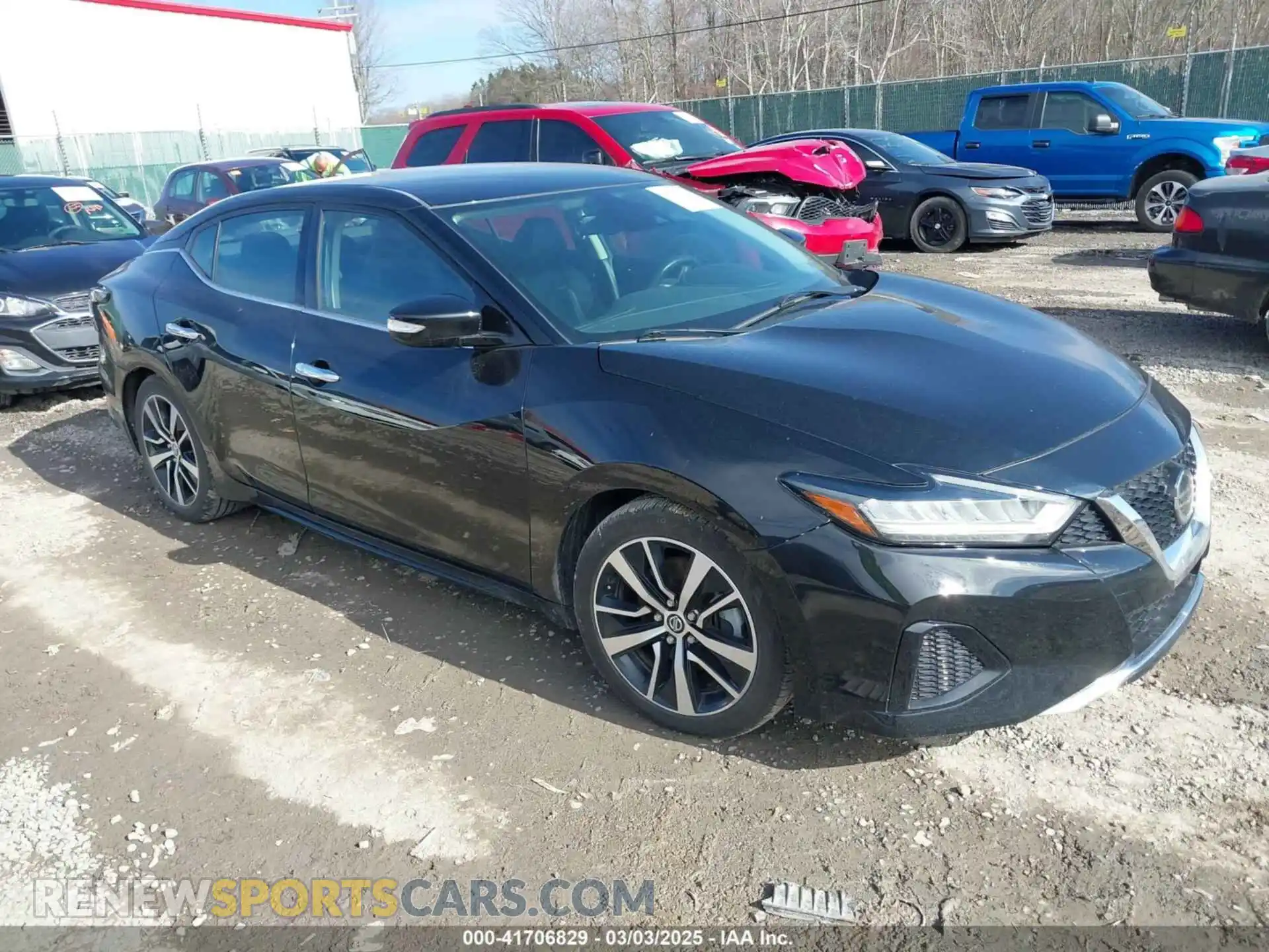 1 Photograph of a damaged car 1N4AA6CV5MC513640 NISSAN MAXIMA 2021