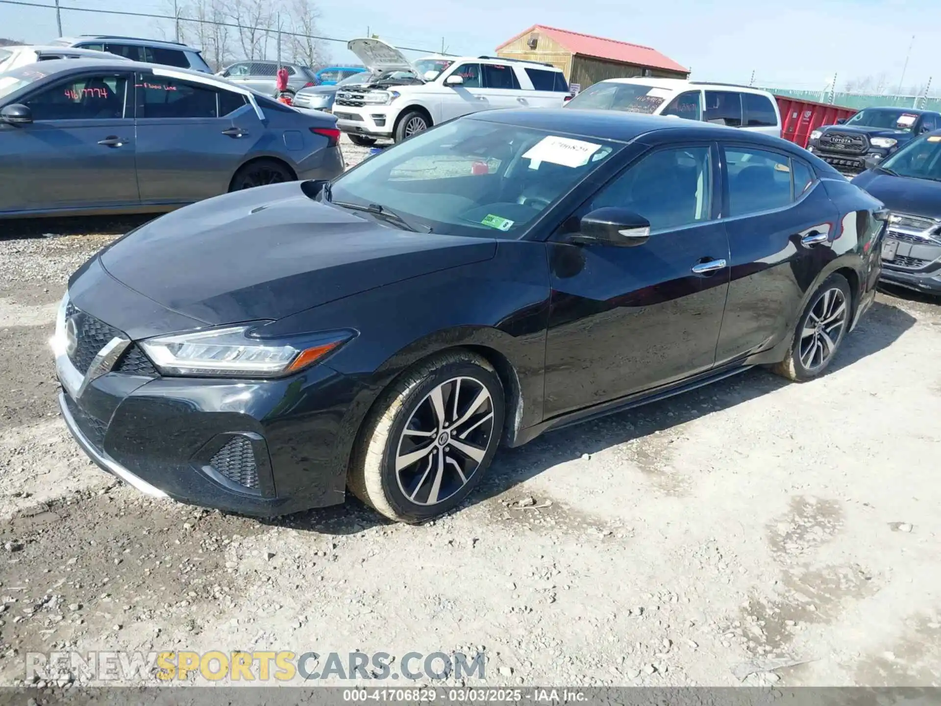 2 Photograph of a damaged car 1N4AA6CV5MC513640 NISSAN MAXIMA 2021