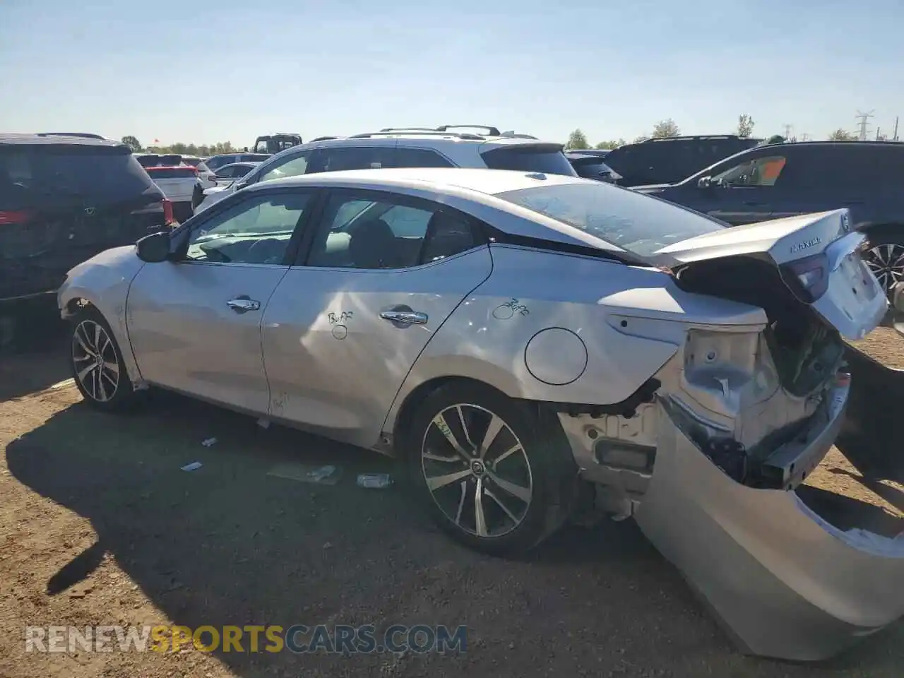2 Photograph of a damaged car 1N4AA6CV7MC513932 NISSAN MAXIMA 2021