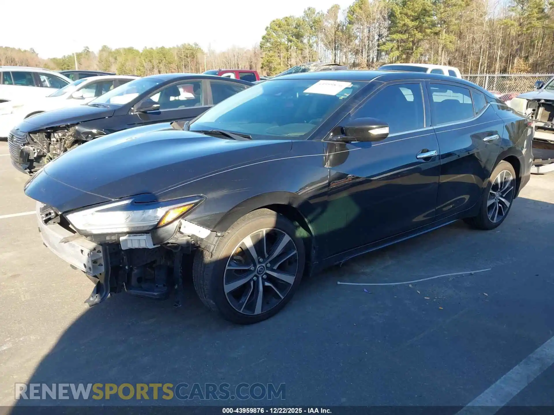 2 Photograph of a damaged car 1N4AA6CV9MC508294 NISSAN MAXIMA 2021