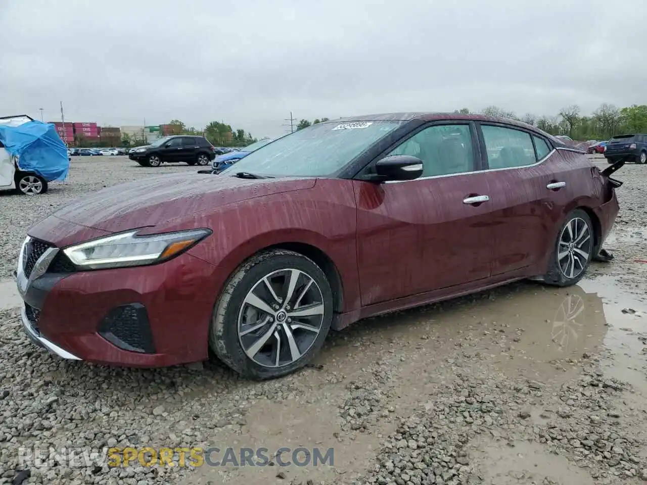 1 Фотография поврежденного автомобиля 1N4AA6CV9MC516590 NISSAN MAXIMA 2021